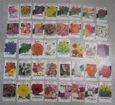 Lot of 40 Old Vintage 1960's - FLOWER SEED PACKETS - Lone Star - EMPTY