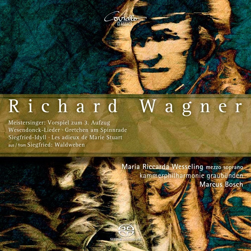 Richard Wagner Wagner Works for Chamber Orchestra (CD)