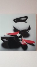 Wand Bild aus Glas 50 x 50cm,Japanische Steingarten,fast neu