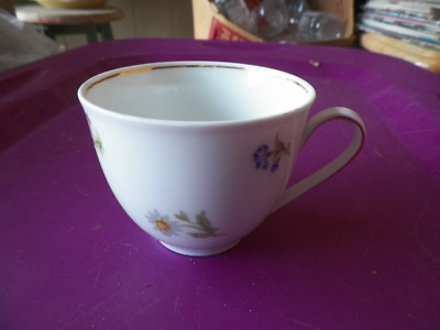 Bavaria cup 3 available