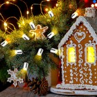 Foto 7 di 8