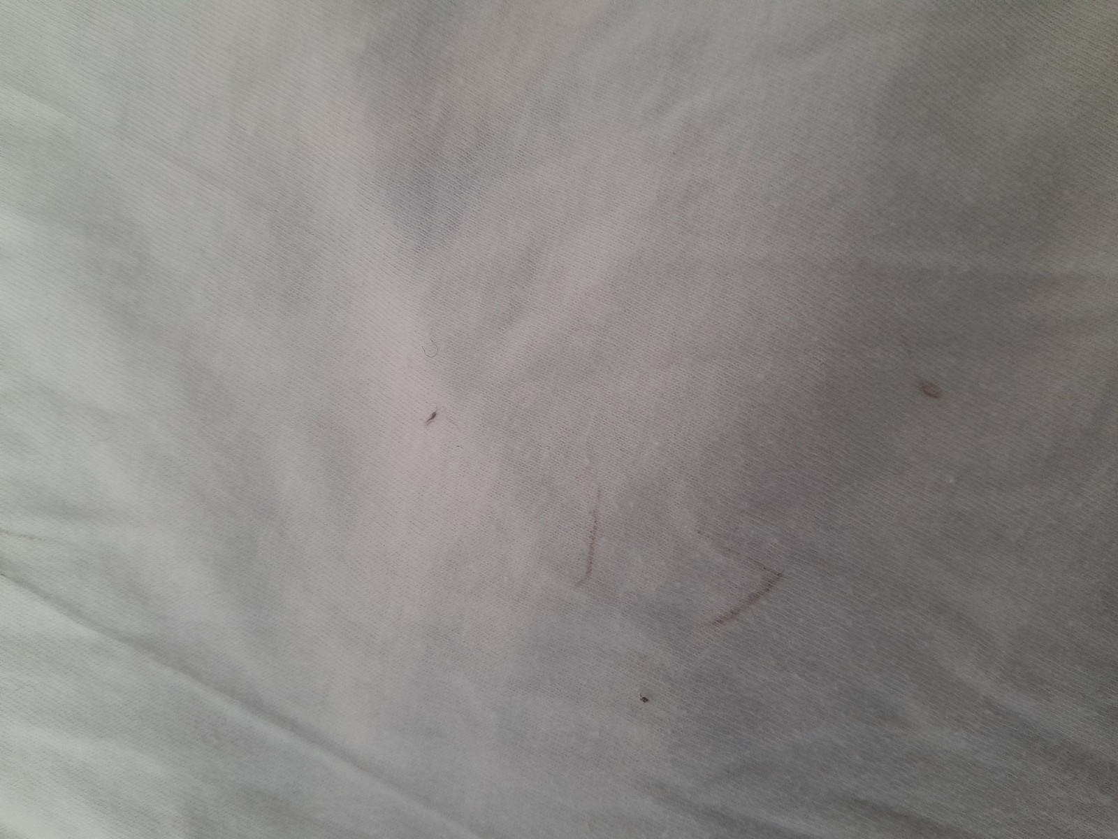 Bild 8 von 8