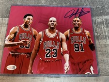 Dennis Rodman Cards and Memorabilia Guide 41