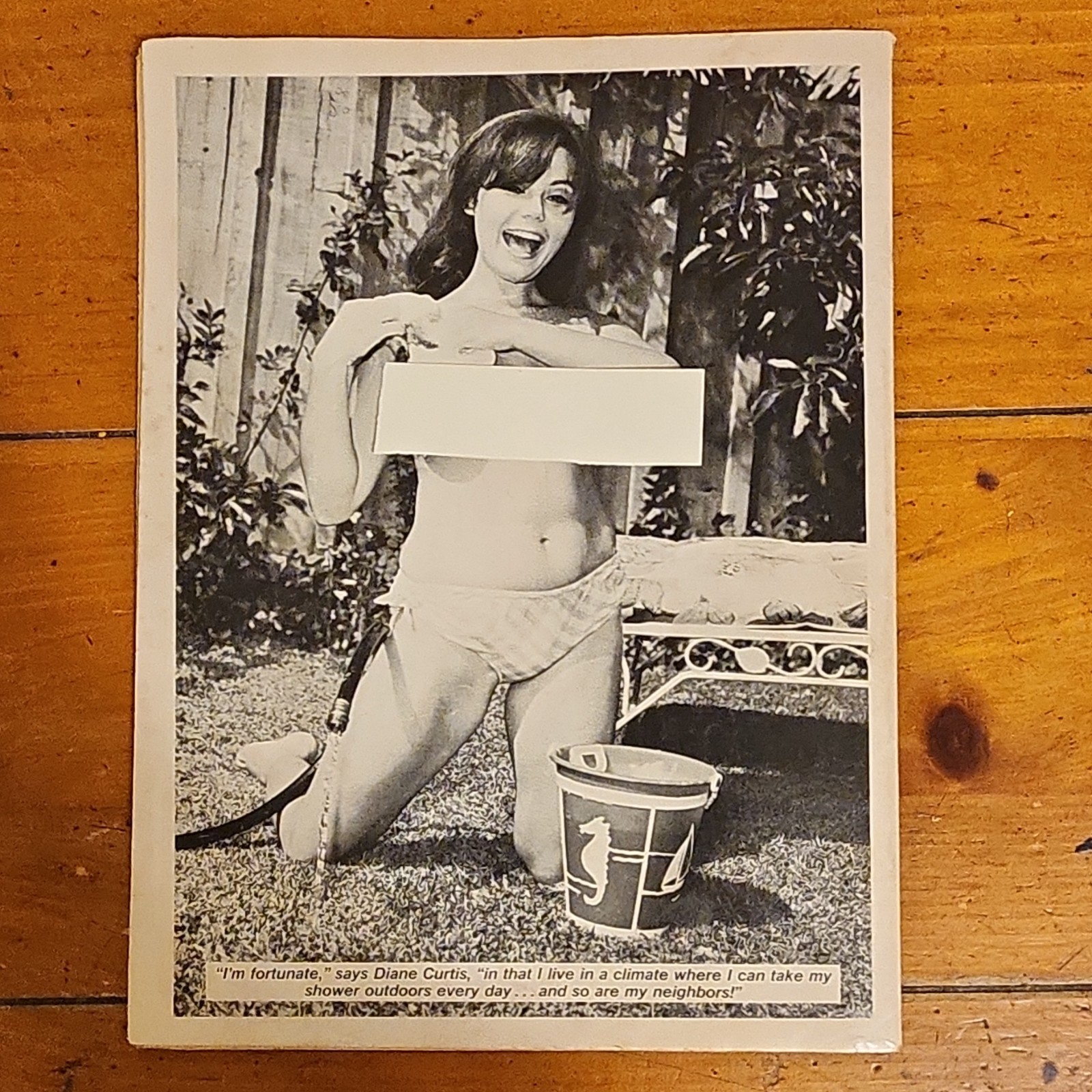 인기 유머 잡지 1975년 2월호, 성인 유머 및 개그, 빌 워드, 핀업 아트 2