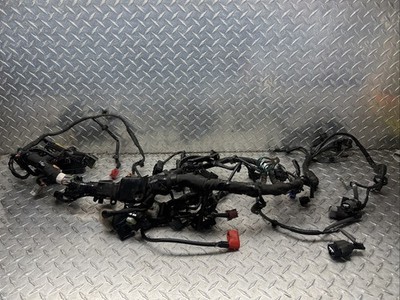 20-21 Honda Africa Twin CRF1100 Main wire  Harness No Cuts!