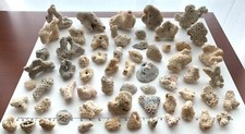 62 pc Coral up to 3" Shells Beach Seashells Aquarium art craft mixed media USA