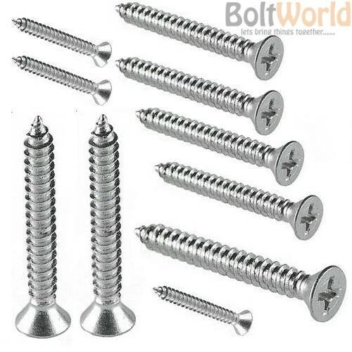 BOLT WORLD TORNILLOS AUTOGOLPEABLES DE ACERO INOXIDABLE DE GRADO MARINO A4 No.6,8,10,12