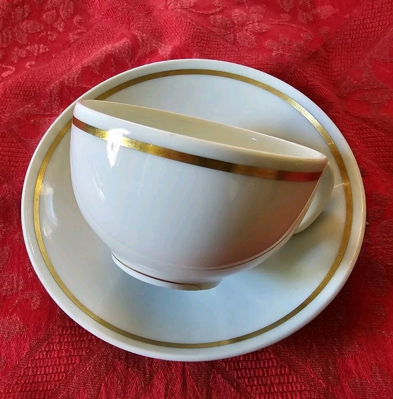 Hotel Van Cleve Dayton Cup & Saucer By Bauscher Circa 1930