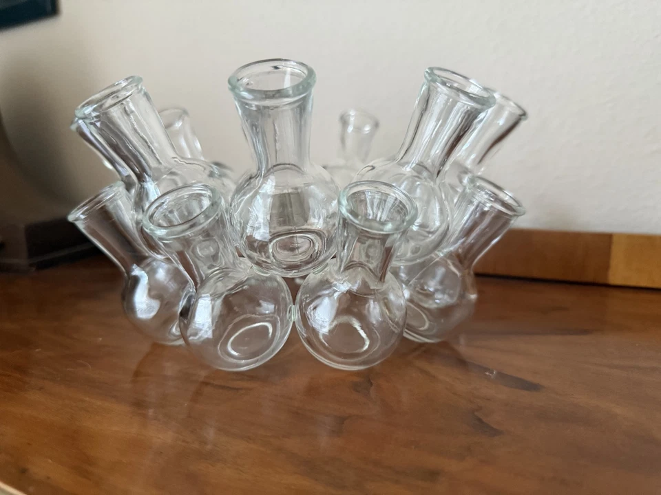 Jarrón vintage de 18 botellas con anillo en racimo estación de propagación de plantas flor rana brote Foto 4 de 4