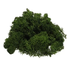 Preserved Reindeer Moss 4 OZ Fake Moss for Crafts Dark Green