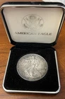 1995 Silver American Eagle - Toned - with case