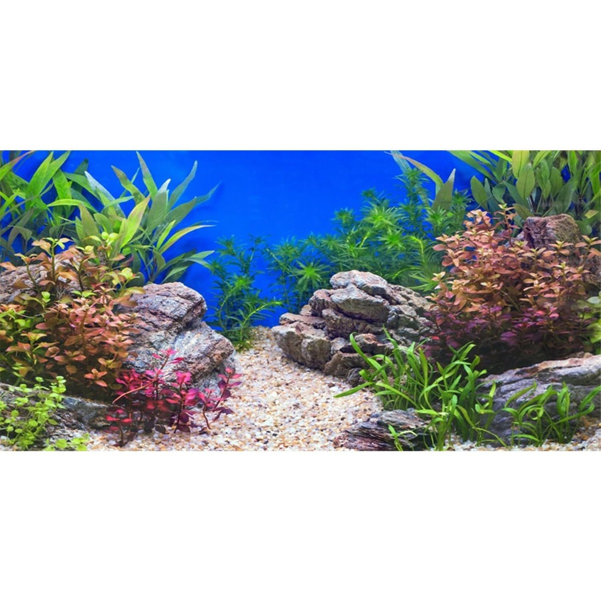 Sfondo Per Acquario Sottomarino - Vinile 61x30 Cm, Design Con Piante Acquatiche E Fiume - Foto 11