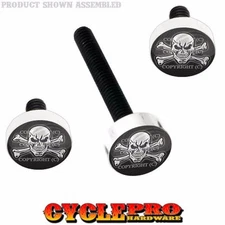 Silver Billet Fairing Windshield Hardware Kit 14-Up Harley - SKULL & BONES G