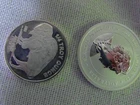 Two Quarter Troy Ounce .999 Pure Fine Silver Rounds (LOT F)