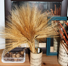 5 Getreidesorten Getreidemix Weizen Roggen Hafer Dinkel Gerste Unterricht Schule