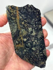 Kambaba Jasper Stromatolite Slab Lapidary Cabbing Combo Ship Avail