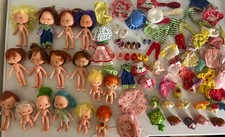 Vintage Strawberry Shortcake Dolls Huge Lot of Dolls, Pets, Clothes Shoes Hats