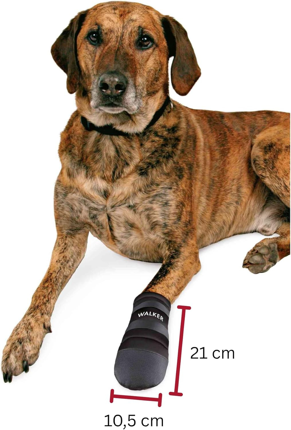 Walker Care Prot. Zampe XXL - Accessori Cane Capottini E Vestiario foto 3