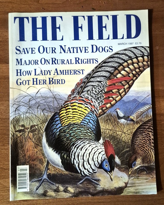 The Field March 1997 Amherst's Pheasant