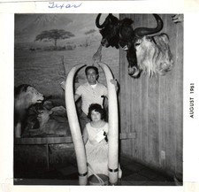 Foto d'epoca 1961 Texas coppia in sala safari africana leoni zanne scena America