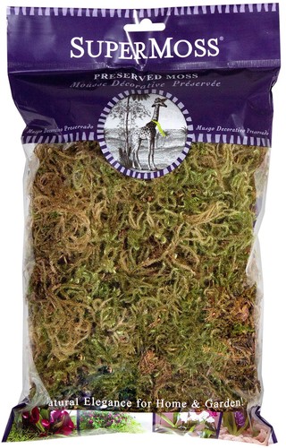 21504 Forest Dried Decorative Moss for Potted Plants, 2 Ounces, Natural Green