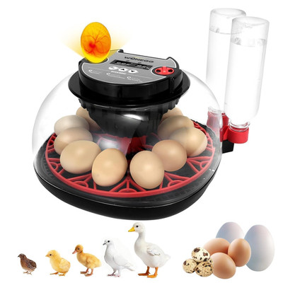 2Nd Gen - 12 Egg Automatic Incubator, Two-Stage Humidity with Auto-Refill & Stab