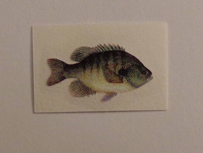 Picture 42 of 55