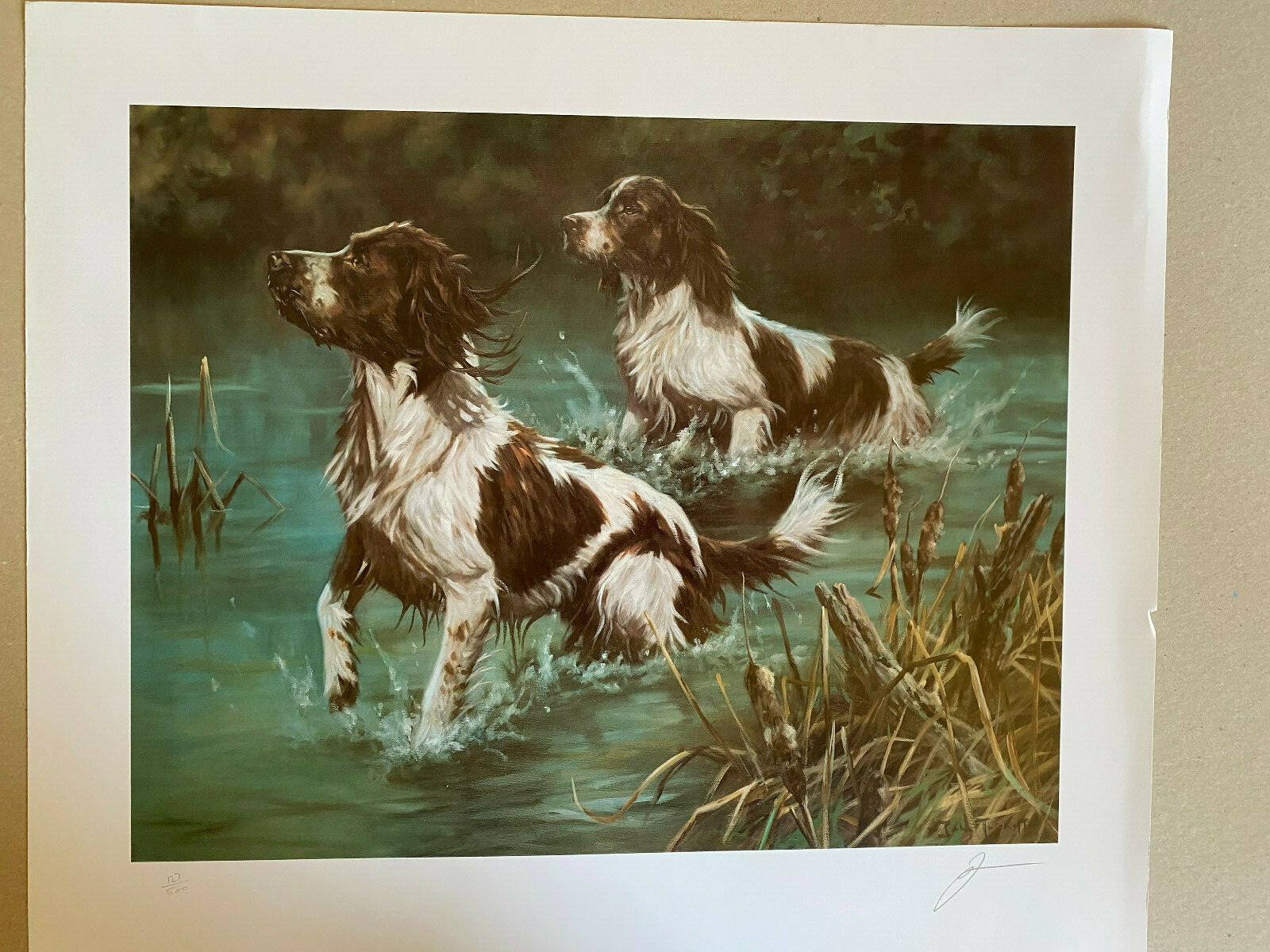 Dog art Springer Spaniel Limited Edition Print The Water Board by John ...