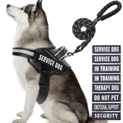 Service Dog Vest Harness and Leash Set in Training Dog Harness with 10 Dog Pa...