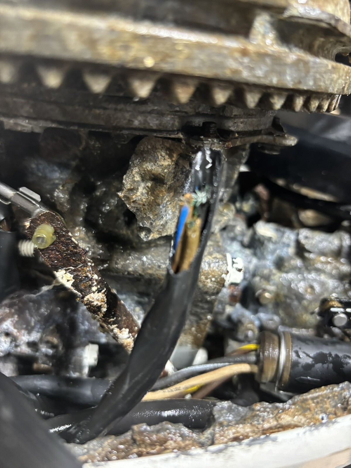 4 hp johnson outboard motor / PARTS eBay