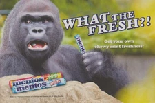 2015 Mentos Candy - Gorilla Eating Mints "What The Fresh?!" - Print Ad Photo