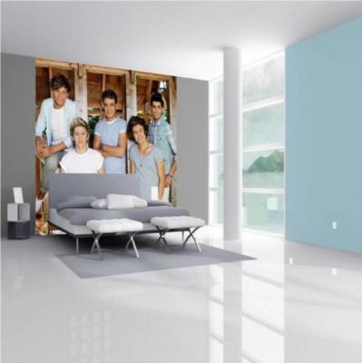 NEU ONE DIRECTION 1D HARRY STYLES RIESIGE TAPETE WANDBILD SCHEUNE 270 x 253 CM