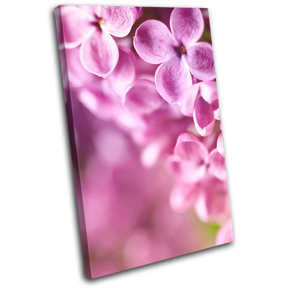 Pure Laine Vierge Rose Poudré Gris Argenté Multi Check