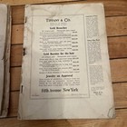 Foto 10 di 17