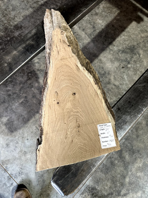 White Oak Slab #1465, live edge slab, unfinished, free shipping