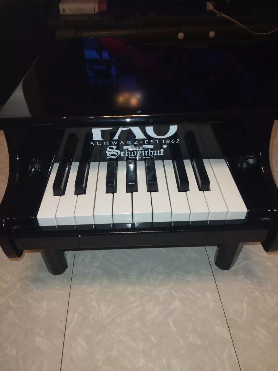 Schoenhut baby grand piano 18 key deals