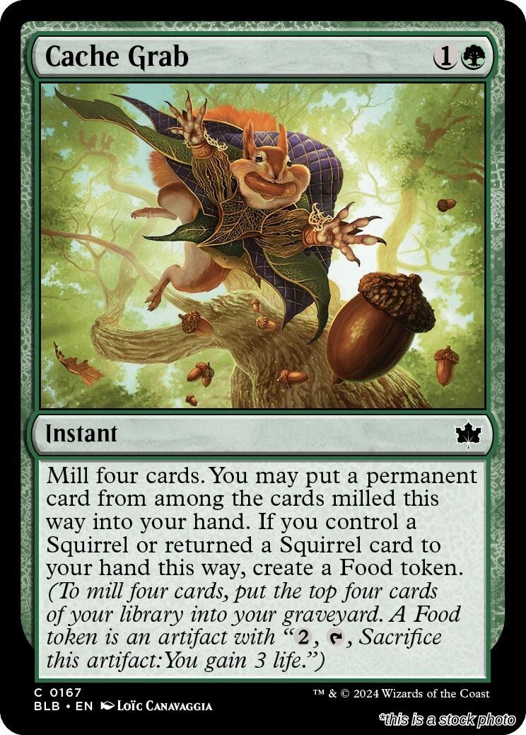 Cache Grab BLB 167 MTG Bloomburrow Common EN NM