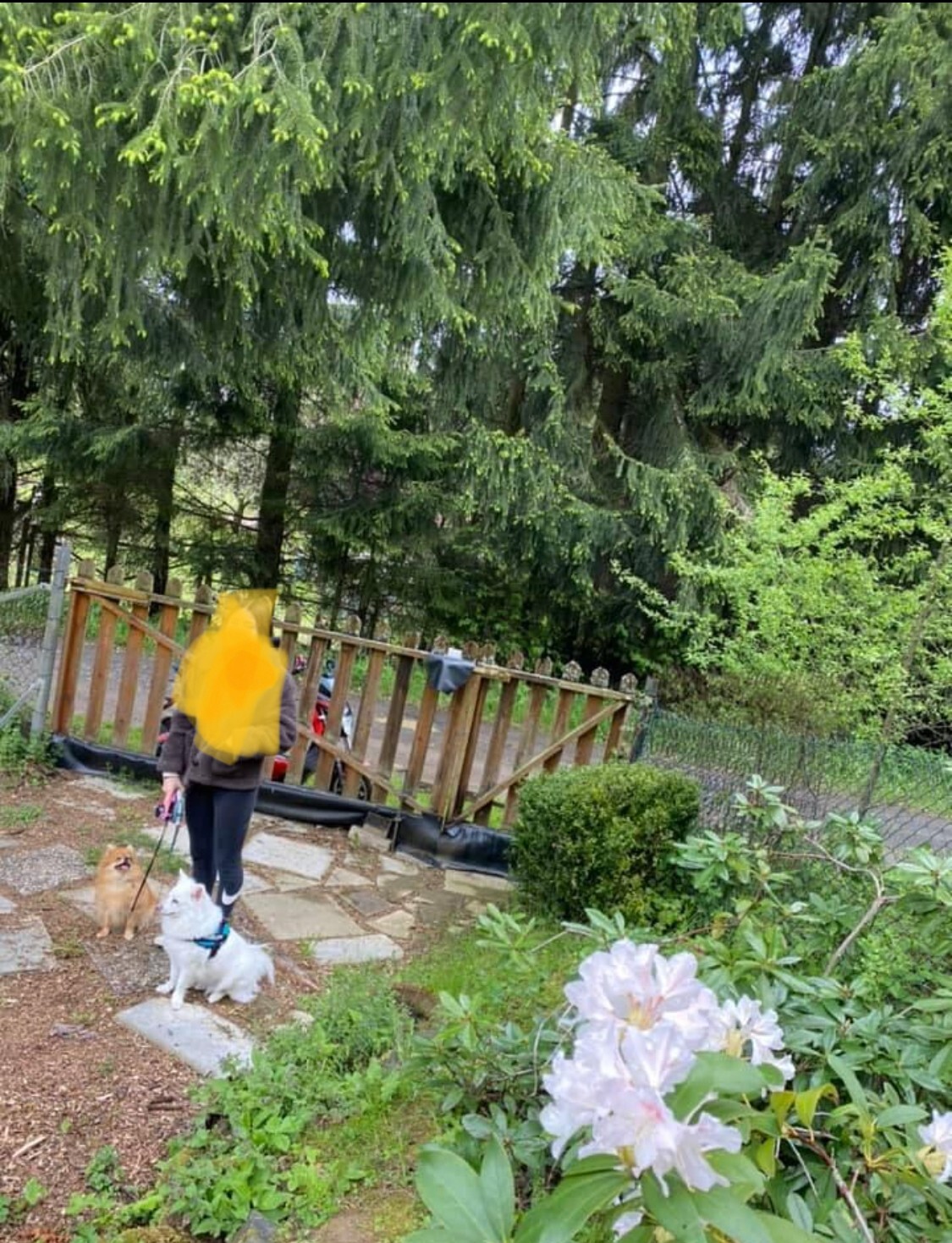 Bild 11 von 19