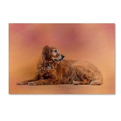 Trademark Fine Art ALI14349-C2232GG Canvas Art, 22x32