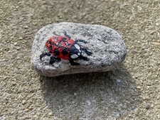 Hand Painted Mini Ladybug Rock Glazed Acrylic Decorative Gift Red