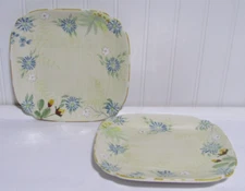 Pfaltzgraff Vintage Floral  8" Lunch Plates   Set of 2