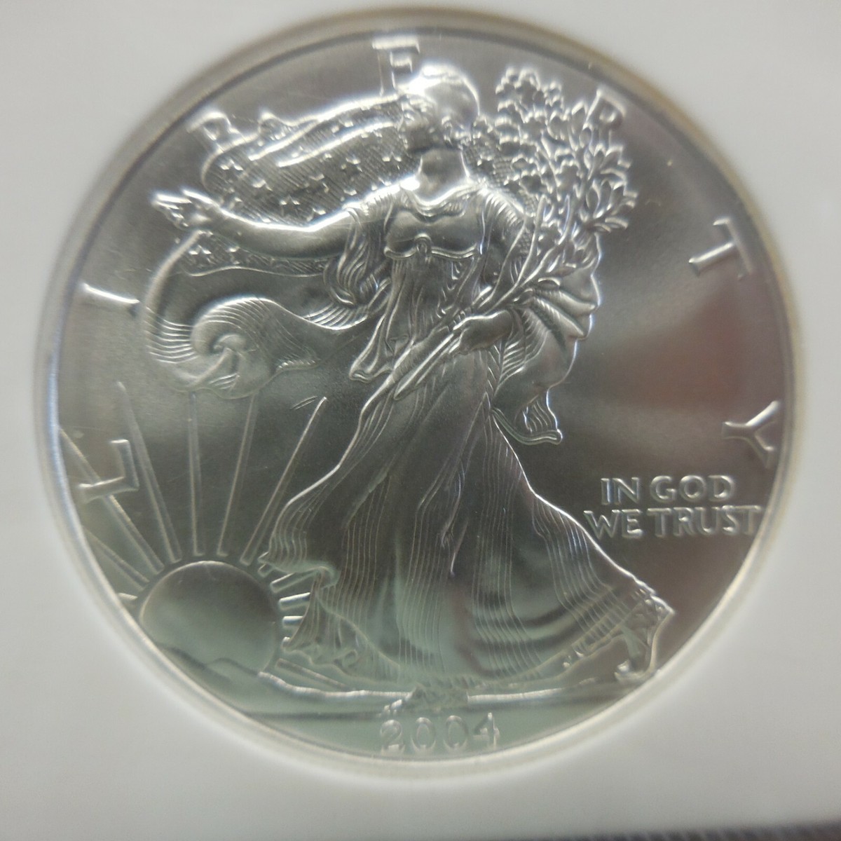 2004 Silver Eagle $1 NGC MS69 - American Eagle Silver Dollar | eBay