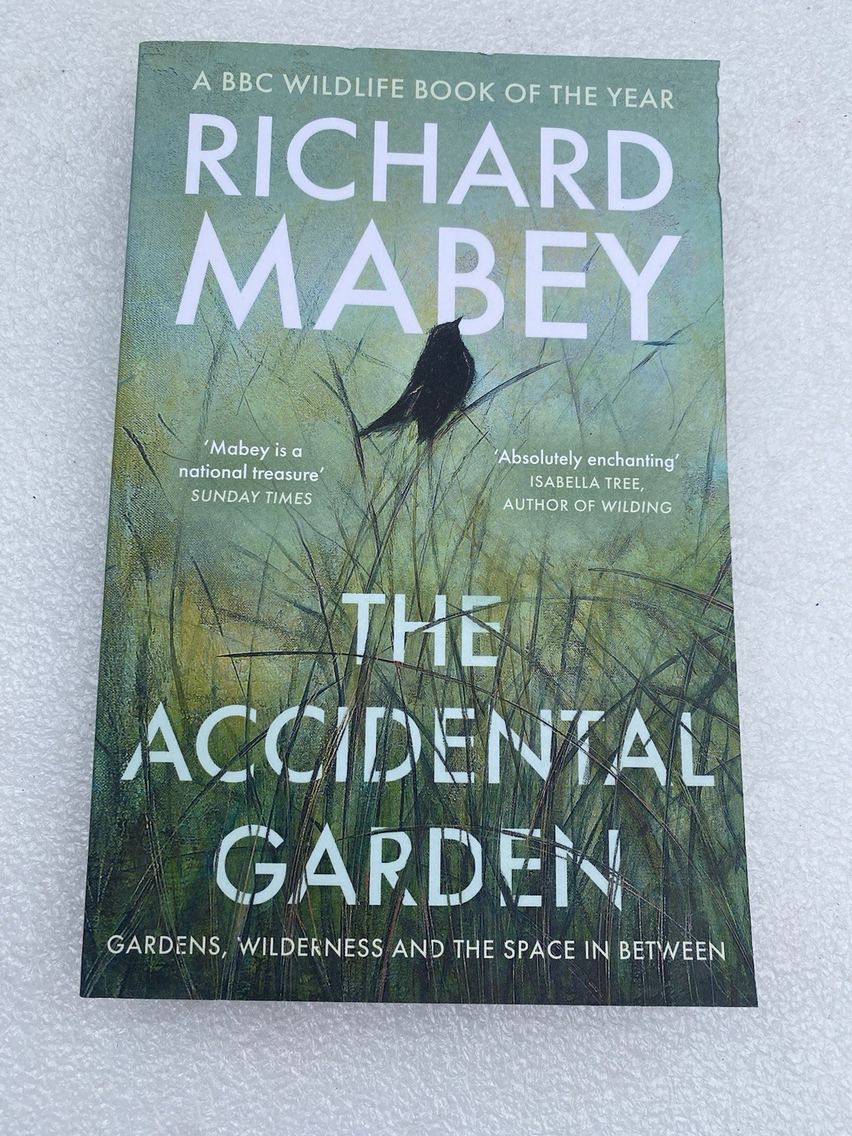 The Accidental Garden: Gardens, Wilderness and the Space In Between: SHORTLISTE - Image 2