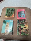 tv book lot Lassie Rinty Indian Mummy.Rustlers Fort Fun Reading Complete  — photo 6