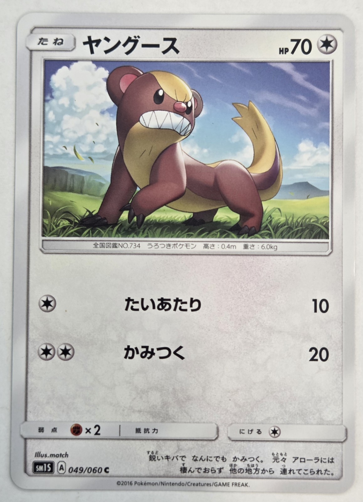 Yungoos 049/060 Collection Sun Japanese Pokémon Card TCG 2016