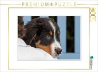 "Calvendo Puzzle An Image From The \"Emotional Moments\" Calendar: Bernese Mountain"