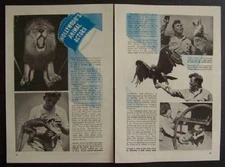 Hollywood Animal Trainers 1943 Curley Twiford pictorial
