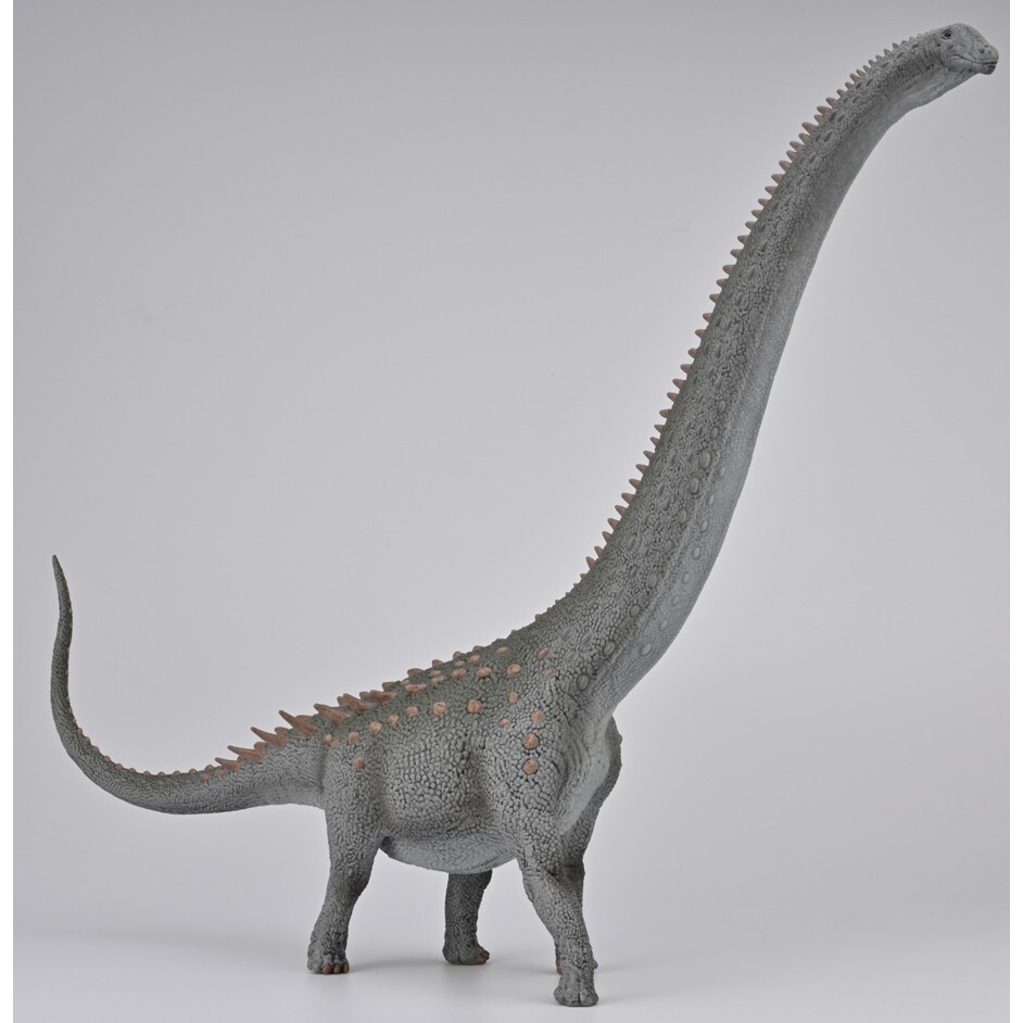 CollectA 88971 2023 Ruyangosaurus Deluxe 1:100 Scale Modello Dinosauro sauropode