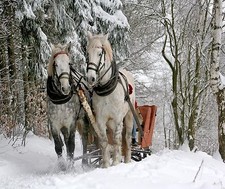 HORSES SLEIGH RIDE COMPUTER MOUSE PAD 9 X 7