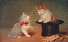 Cat Kitten Postcard Antique c1915 Two Kittens...